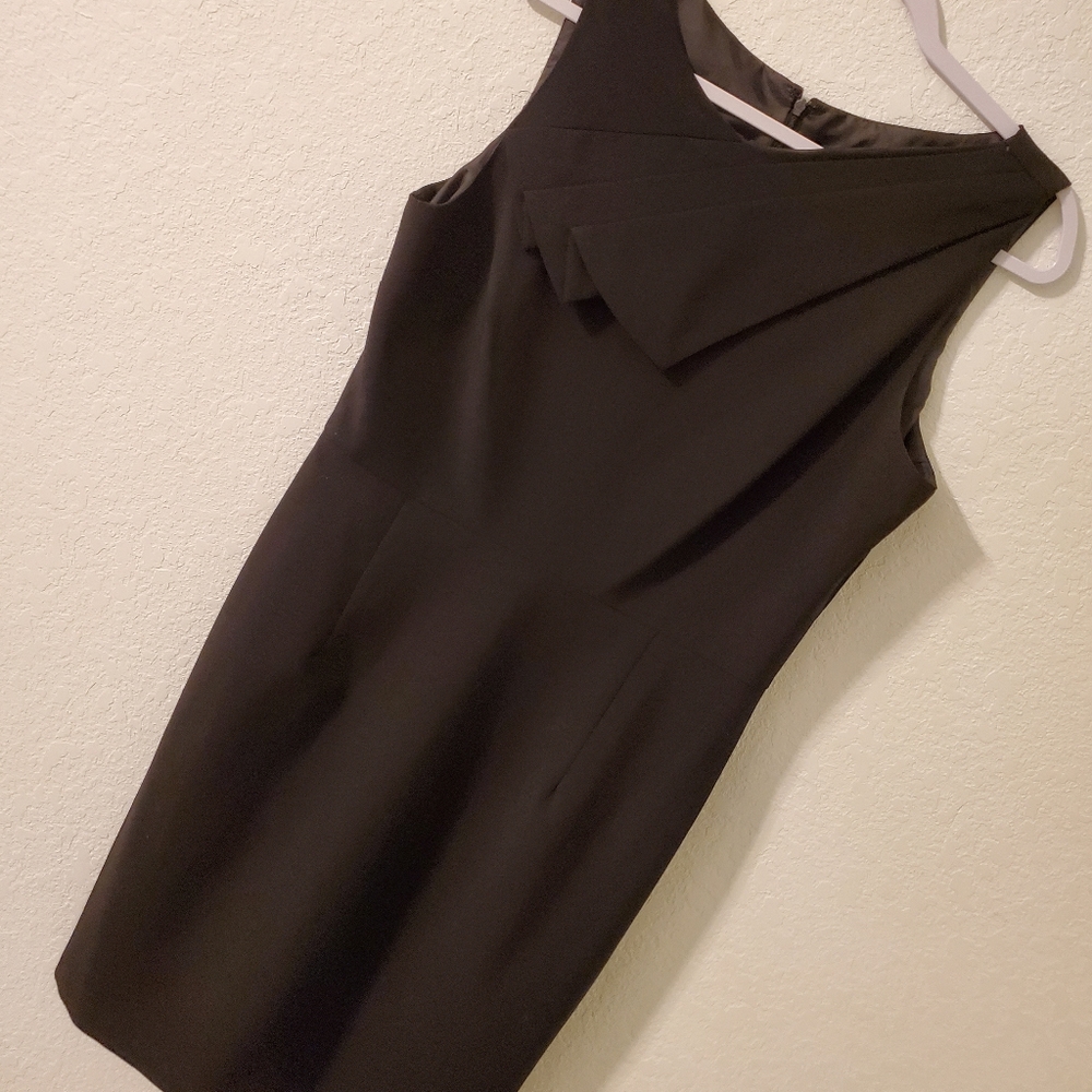 True envy size 12 dress